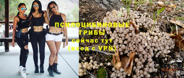 прущие крисы Балахна