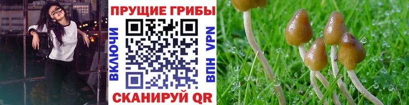 Галлюциногенные грибы мухоморы  Купить  Майский 
